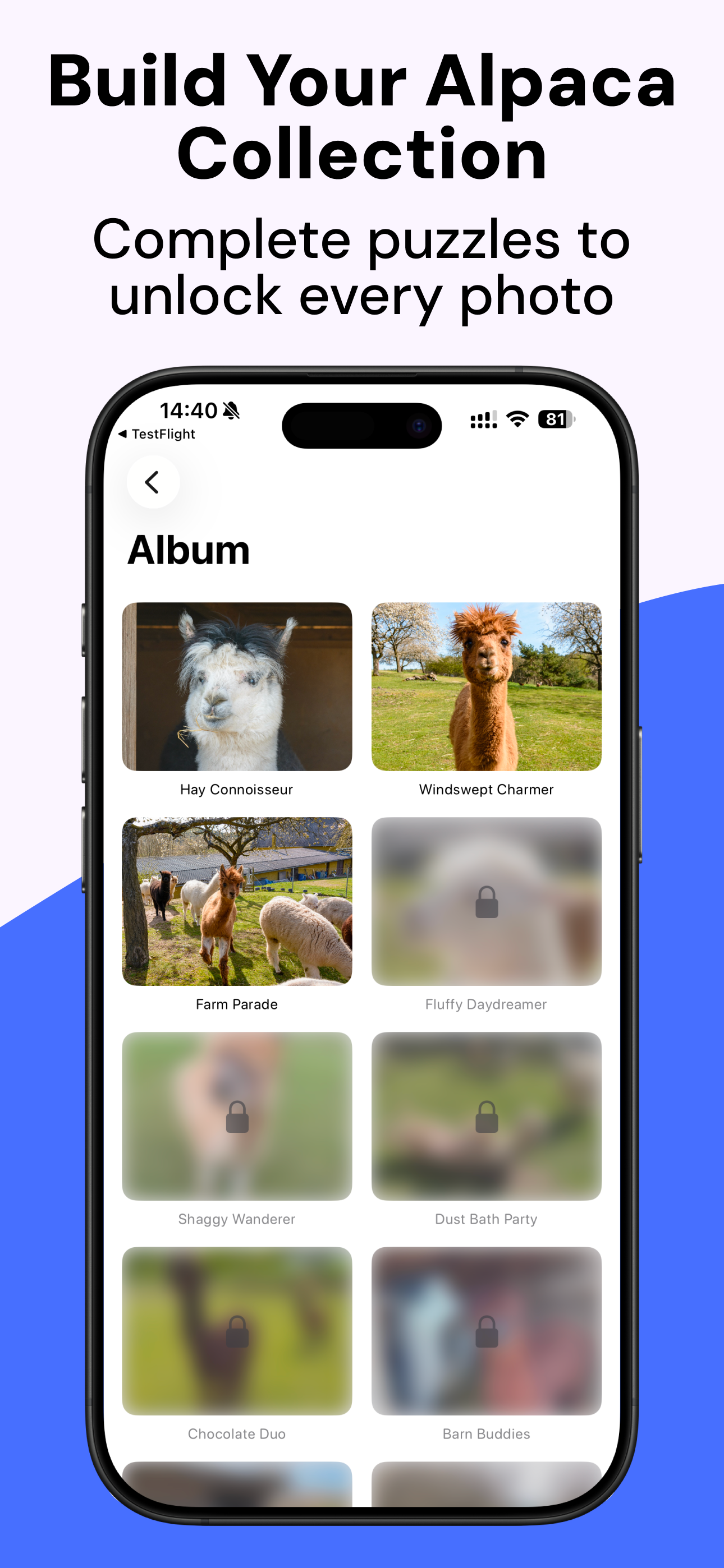 Build Your Alpaca Collection